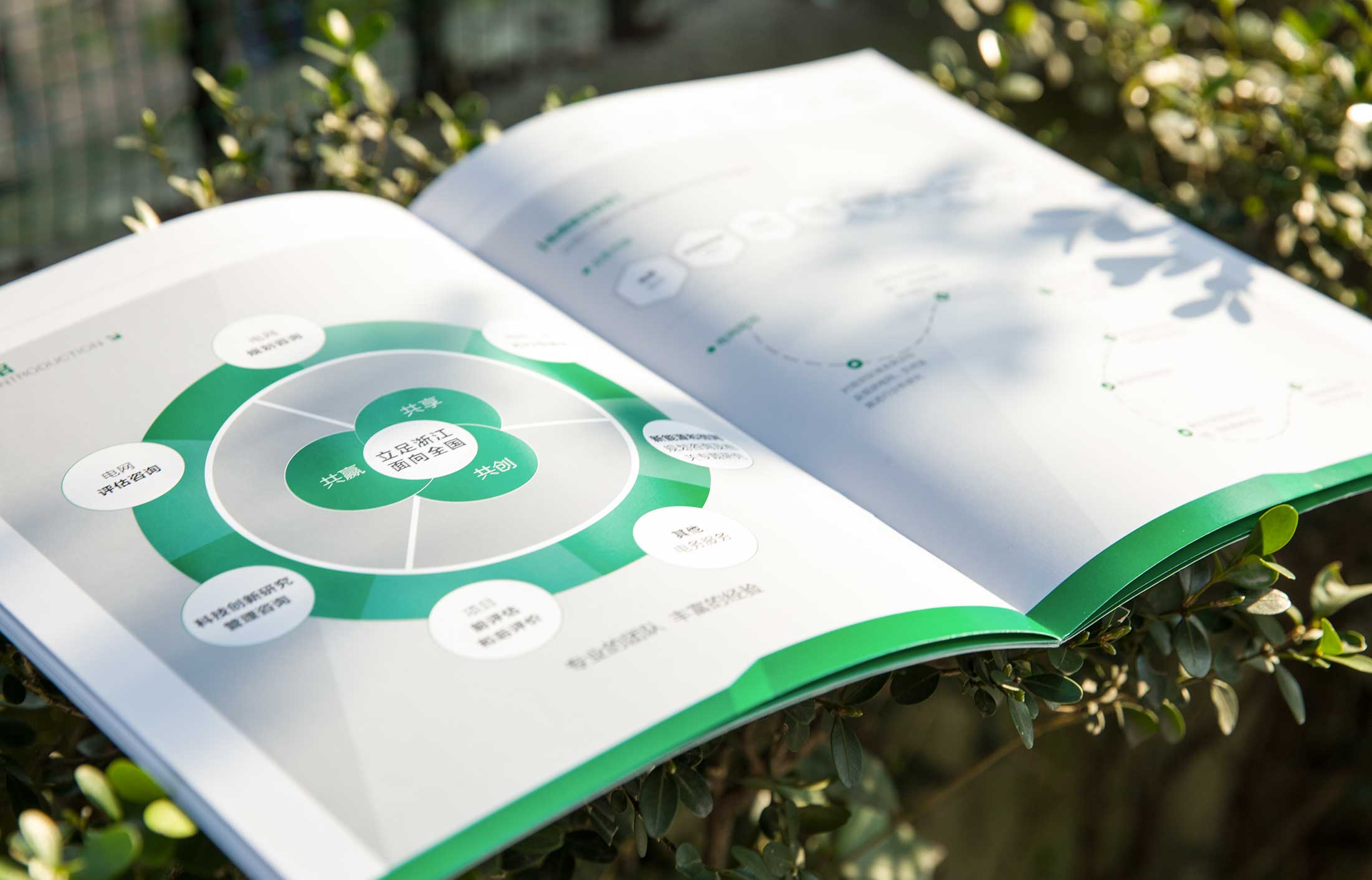 1594287803602093.jpg 7.jpg