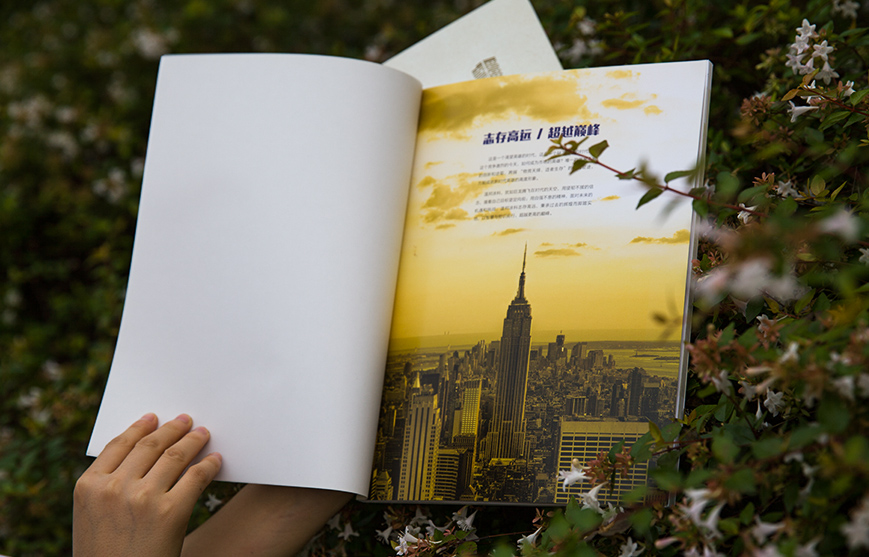 1628934285770950.jpg 54873431.JPG