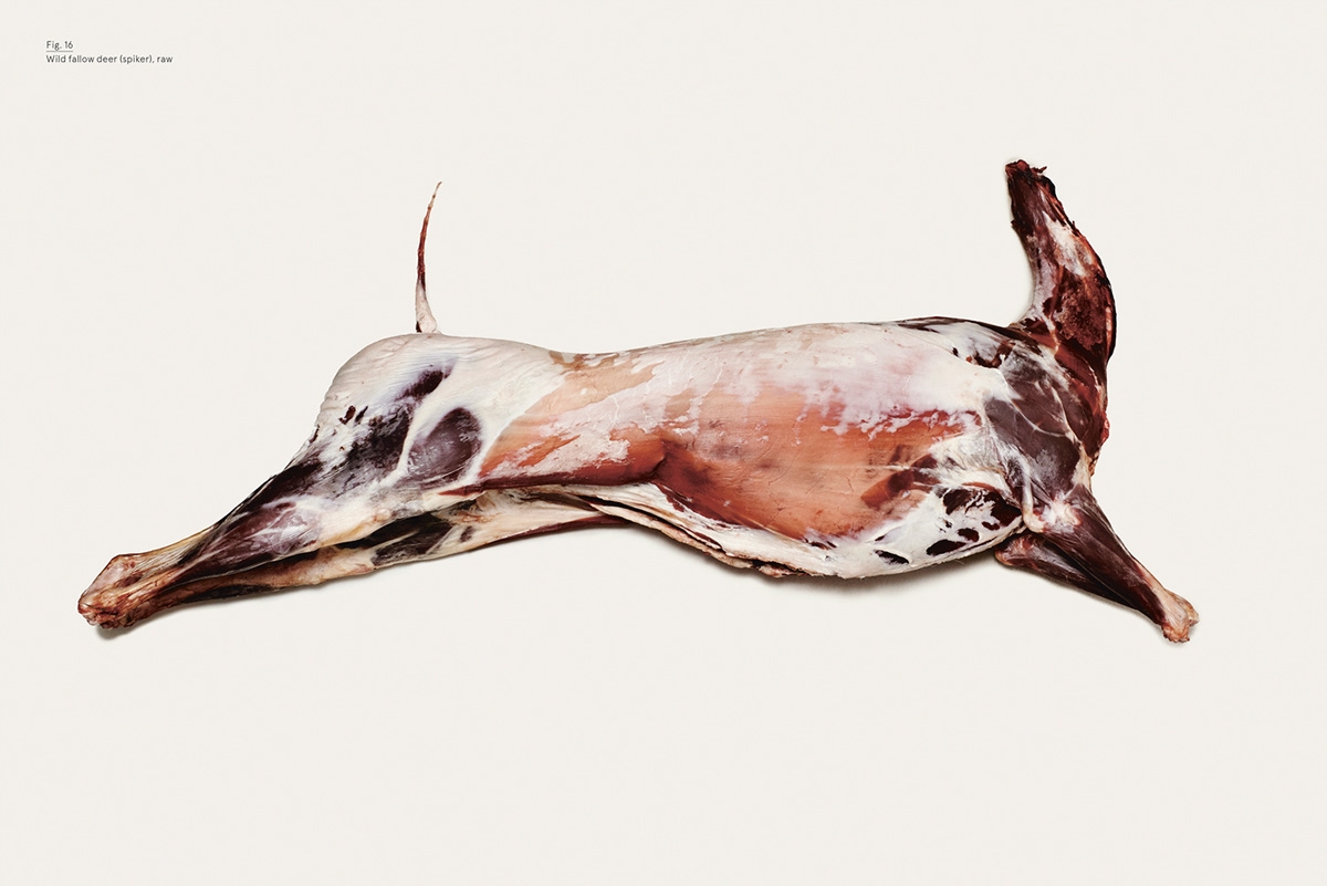 還在為做菜而煩惱嗎？看看這限量版菜譜品牌包裝設(shè)計(jì)