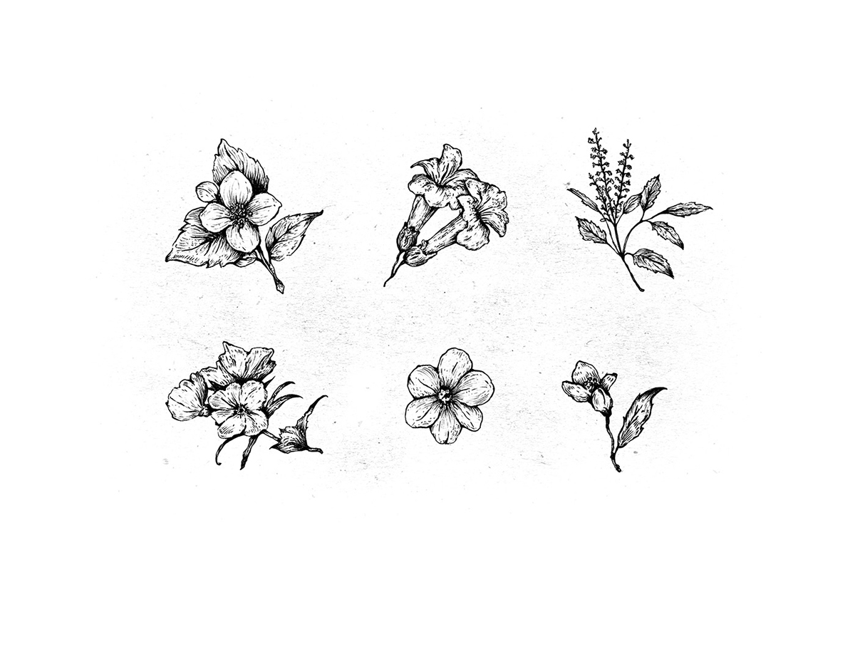 化妝品護(hù)膚產(chǎn)品包裝設(shè)計(jì)— 百分之百天然手工皂，沐浴露和洗滌液品牌包裝設(shè)計(jì)