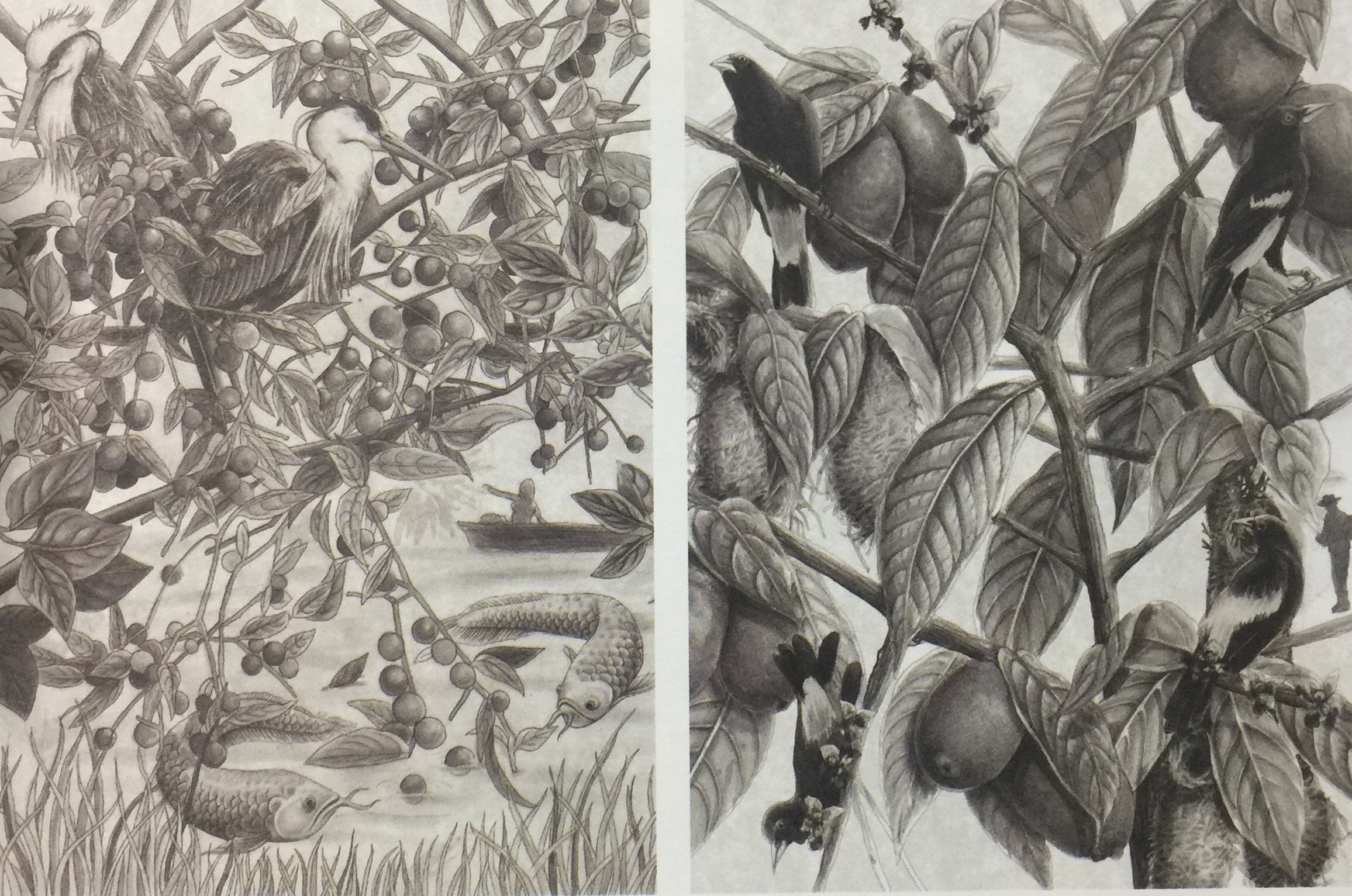 來自熱帶雨林的果茶飲品包裝設(shè)計(jì)