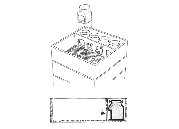 見過喝蜂蜜的，見過舉著蜂巢喝蜂蜜的嗎？｜奇特蜂蜜包裝設(shè)計(jì)