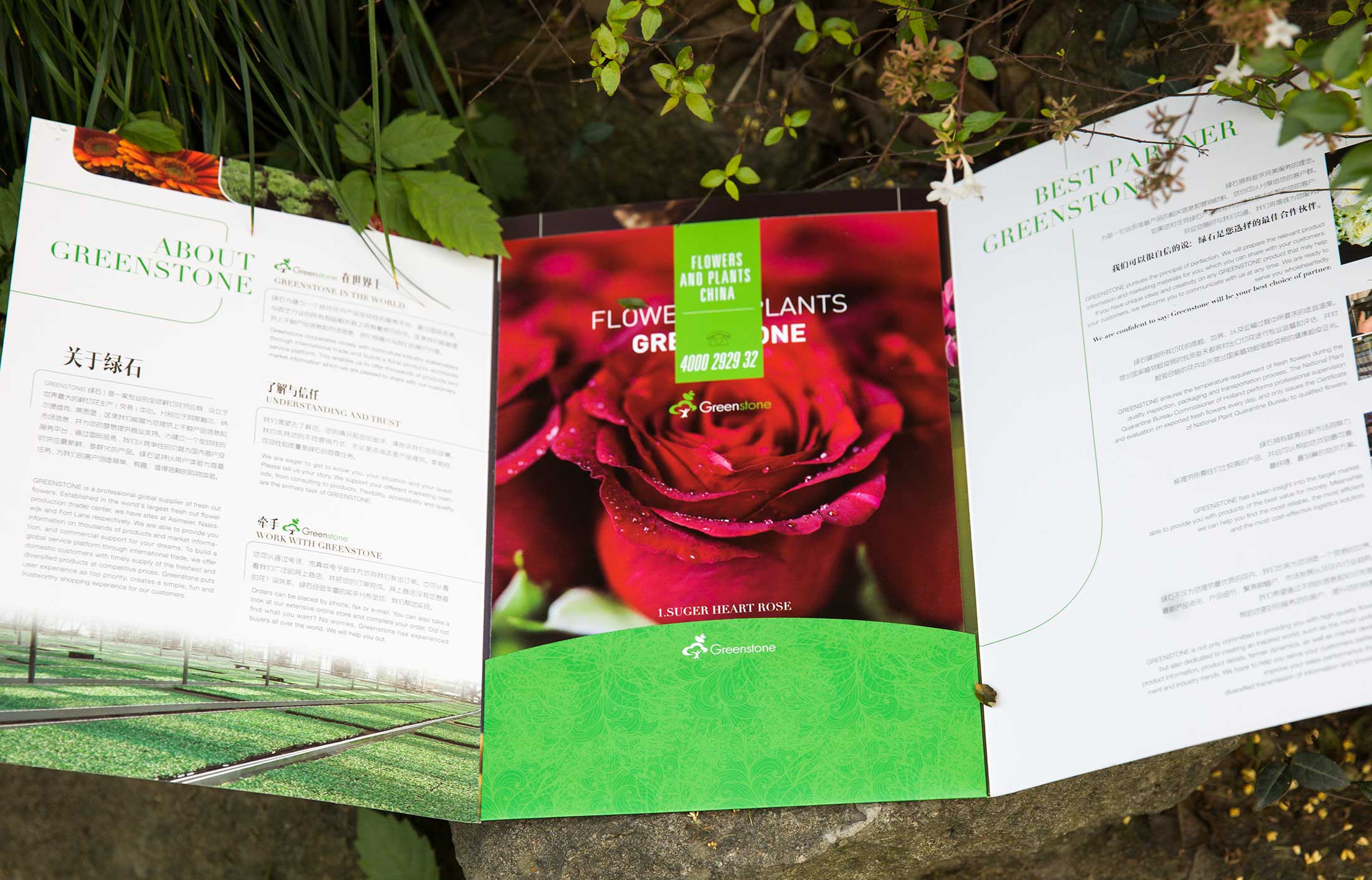綠石國際貿易宣傳冊