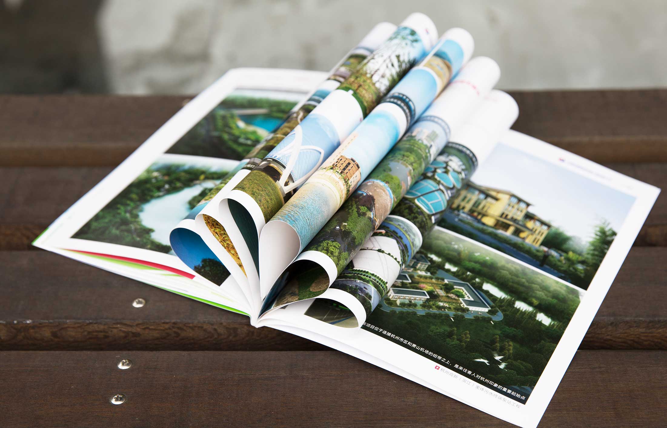 中國電建集團環境畫冊