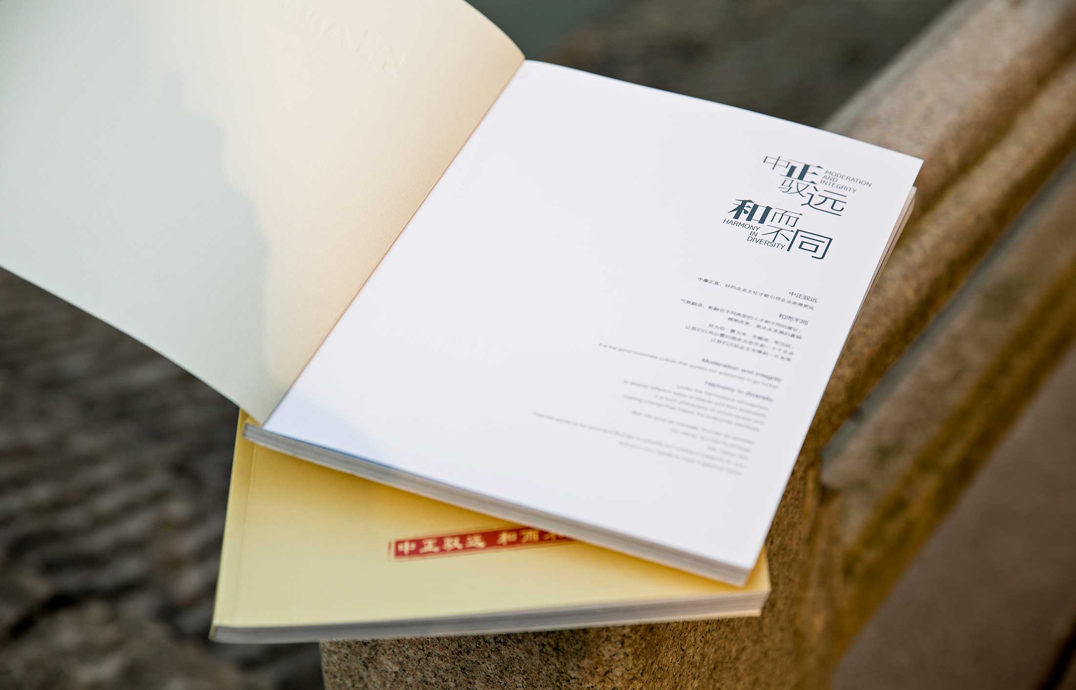 漢馭鋼構集團畫冊